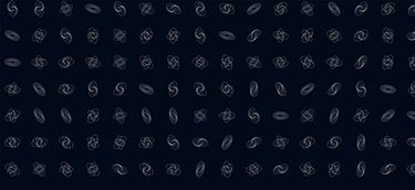 onemorestud.io